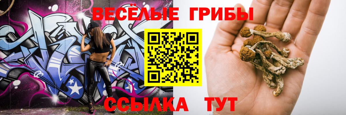 Псилоцибиновые грибы мицелий  Вход с VPN  Ухта 